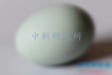 鸭蛋检测