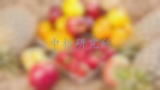 叶酸检测