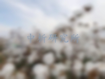 断裂比强度