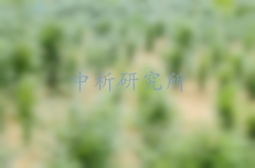 红豆杉检测