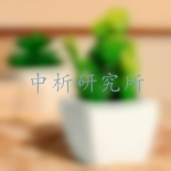 仙人掌检测