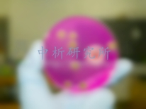 动物样品检测